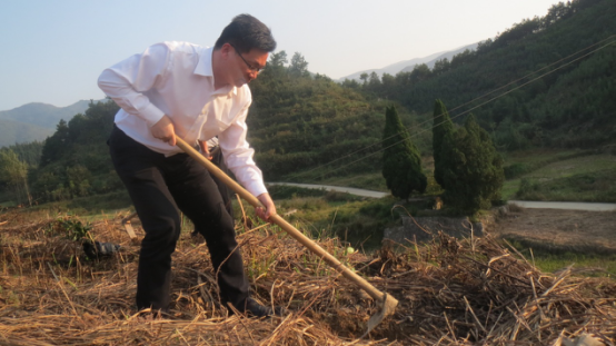 市纪委驻市教育局纪检组组长赵忠林在油茶基地种植油茶